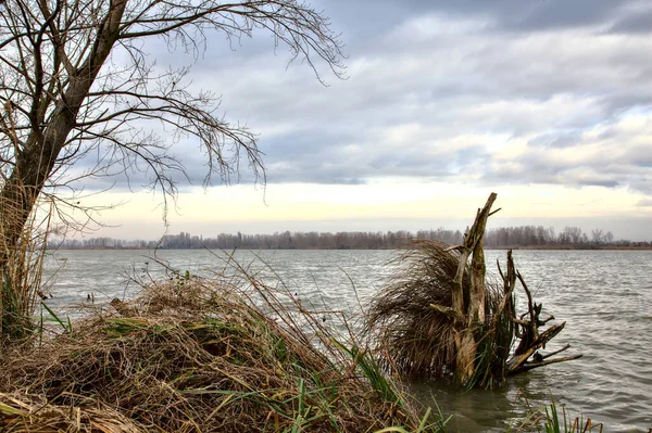 Costa Rio Com Árvores Nuas Campo Italiano Inverno — Fotografia de Stock