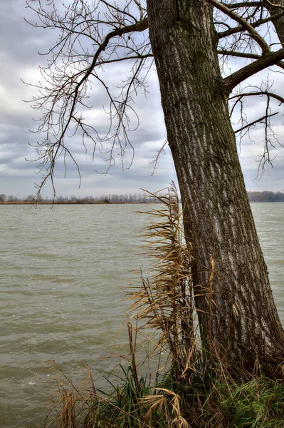 Costa Rio Com Árvores Nuas Campo Italiano Inverno — Fotografia de Stock