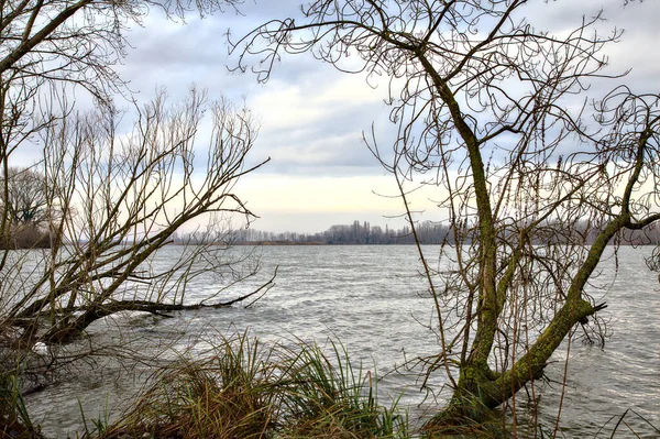 Orilla Río Con Árboles Desnudos Campo Italiano Invierno —  Fotos de Stock