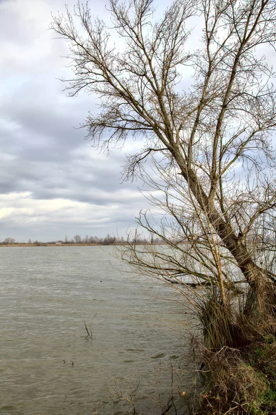 Rivage Une Rivière Aux Arbres Nus Dans Campagne Italienne Hiver — Photo