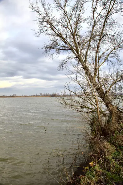 Riva Fiume Con Alberi Spogli Nella Campagna Italiana Inverno — Foto Stock