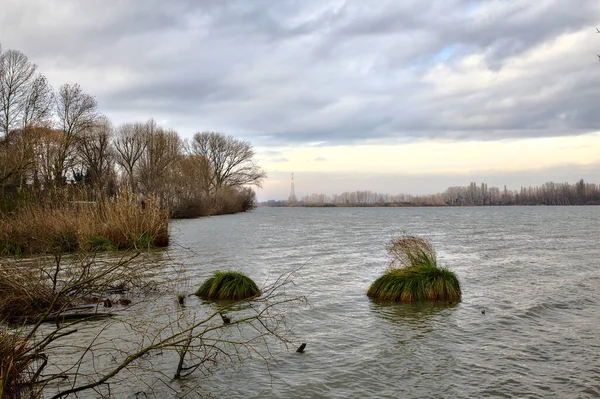 Берег Річки Голими Деревами Сільській Місцевості Італії Взимку — стокове фото