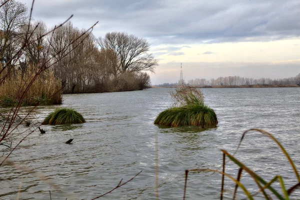 冬にイタリアの田舎に裸の木がある川の岸 — ストック写真