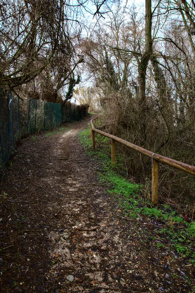 Percorso Parco Nella Campagna Italiana Inverno — Foto Stock