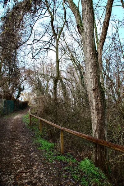 Caminho Parque Campo Italiano Inverno — Fotografia de Stock