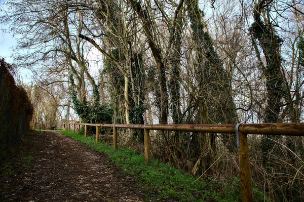 Caminho Parque Campo Italiano Inverno — Fotografia de Stock