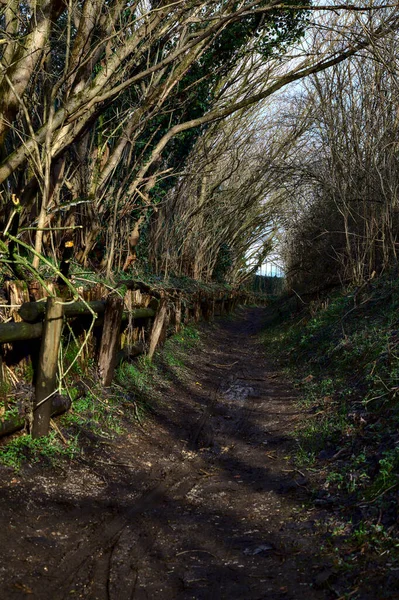 Chemin Dans Parc Campagne Italienne Hiver — Photo