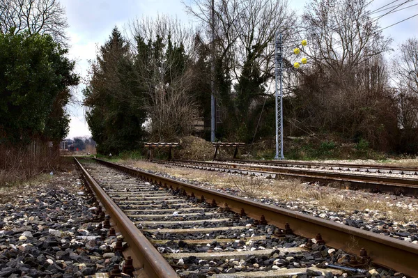 Мертві Кінцеві Треки Похмурий День Взимку — стокове фото