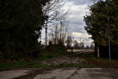 Küçük bir koruluktaki raylar.