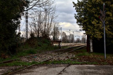 Küçük bir koruluktaki raylar.