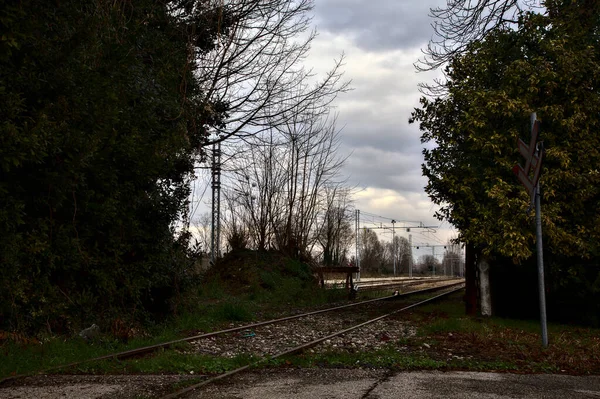 Σιδηροδρομικές Γραμμές Ένα Μικρό Άλσος — Φωτογραφία Αρχείου