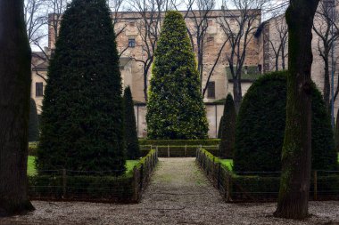 İtalya 'da bir halk bahçesinde kışın bulutlu bir günde çıplak ağaçlarla yol
