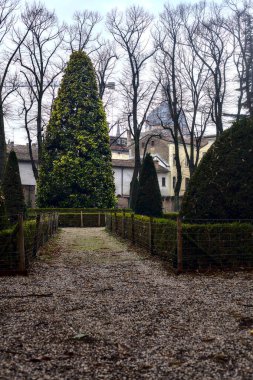 İtalya 'da bir halk bahçesinde kışın bulutlu bir günde çıplak ağaçlarla yol