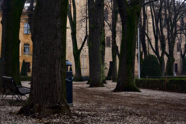 Путь Общественный Сад Италии Голыми Деревьями Облачный День Зимой — стоковое фото