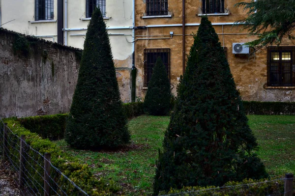 Jardin Public Dans Une Ville Italienne Par Temps Nuageux Hiver — Photo