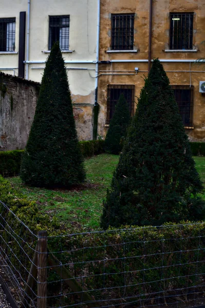 Veřejná Zahrada Italském Městě Zamračený Den Zimě — Stock fotografie