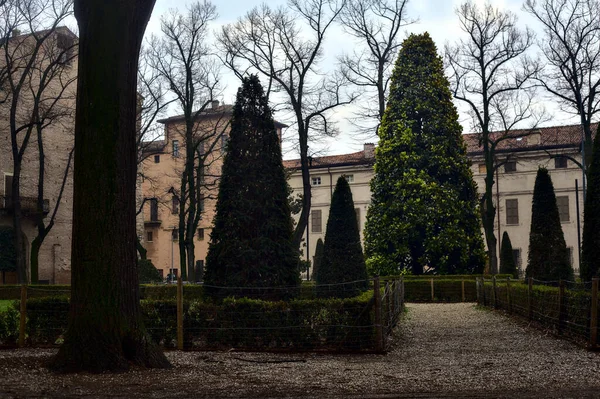 Weg Een Openbare Tuin Italië Met Kale Bomen Een Bewolkte — Stockfoto