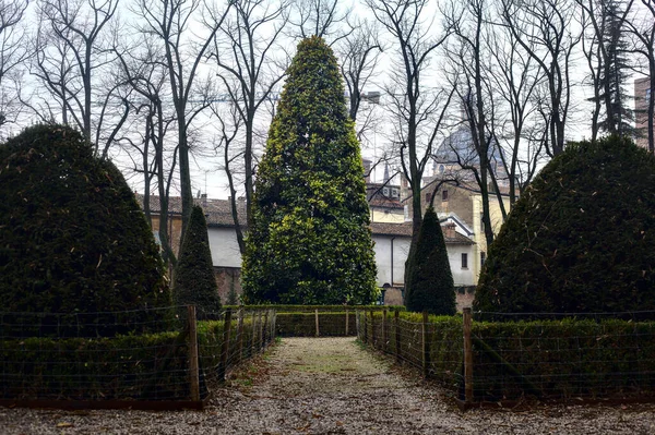Vägen Allmän Trädgård Italien Med Bara Träd Molnig Dag Vintern — Stockfoto