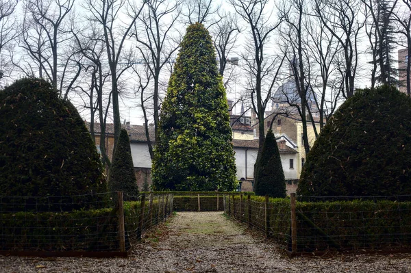 Path Public Garden Italy Bare Trees Cloudy Day Winter — Stock Photo, Image