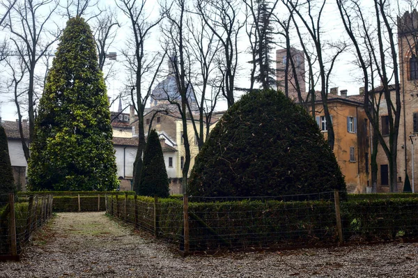 Caminho Jardim Público Itália Com Árvores Nuas Dia Nublado Inverno — Fotografia de Stock
