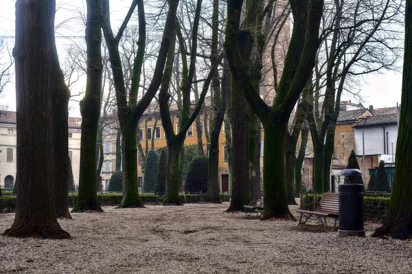 Percorso Giardino Pubblico Italia Con Alberi Spogli Una Giornata Nuvolosa — Foto Stock