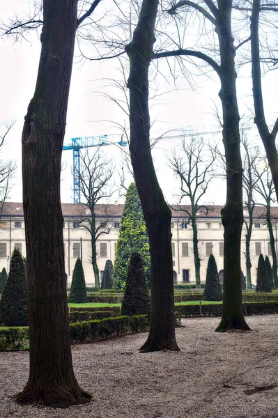 Шлях Публічного Саду Італії Голими Деревами Похмурий День Взимку — стокове фото