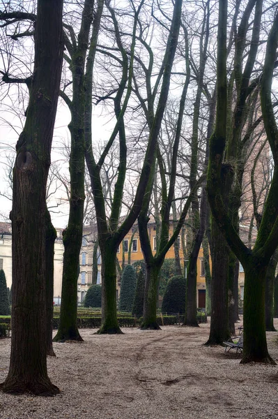 Percorso Giardino Pubblico Italia Con Alberi Spogli Una Giornata Nuvolosa — Foto Stock