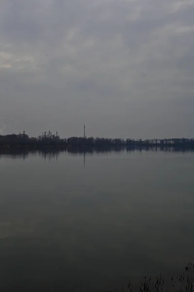 Park Druhé Straně Jezera Zamračeném Zimním Dni — Stock fotografie