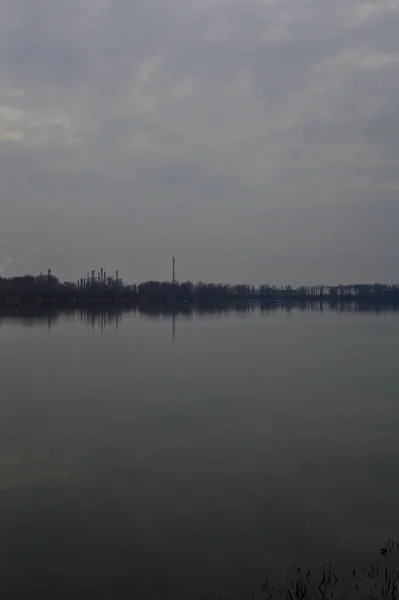 Парк Іншому Боці Озера Похмурий Зимовий День — стокове фото