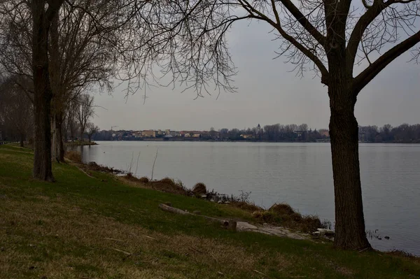 Costa Lago Com Árvores Nuas Inverno — Fotografia de Stock