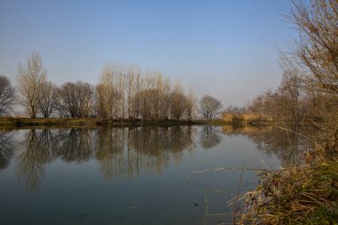 Yansımaları İtalya kırsalında suya dökülen çıplak ağaçlarla çevrili bir nehir.