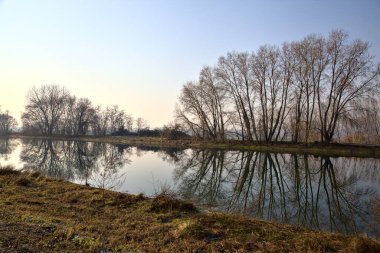Yansımaları İtalya kırsalında suya dökülen çıplak ağaçlarla çevrili bir nehir.