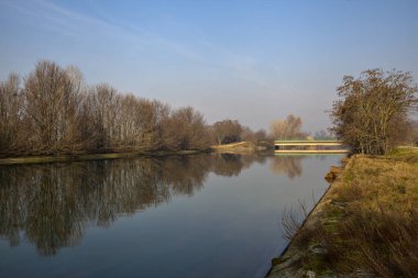 Yansımaları İtalya kırsalında suya dökülen çıplak ağaçlarla çevrili bir nehir.