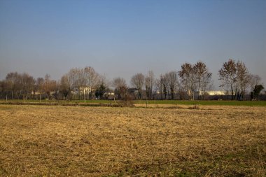 İtalya 'nın kırsalında ekilmiş tarlalar