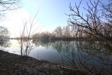 Yansımaları İtalya kırsalında suya dökülen çıplak ağaçlarla çevrili bir nehir.
