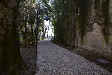 İtalya kırsalındaki bir parkta gölgede yol