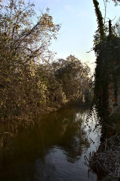 Kırsalda Çıplak Ağaçlarla Çevrili Bir Kanal — Stok fotoğraf