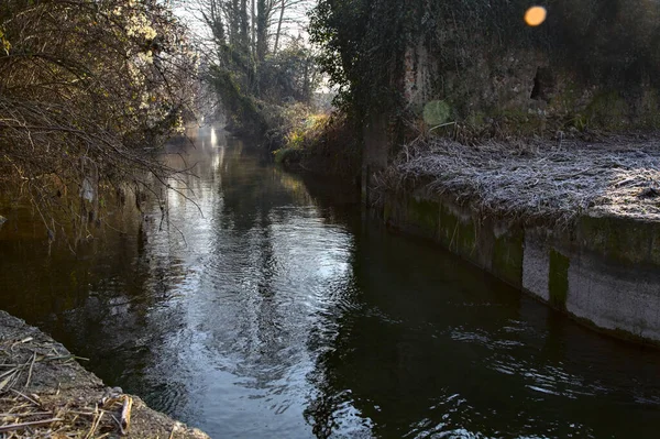 Kanaal Het Platteland Omzoomd Door Kale Bomen — Stockfoto