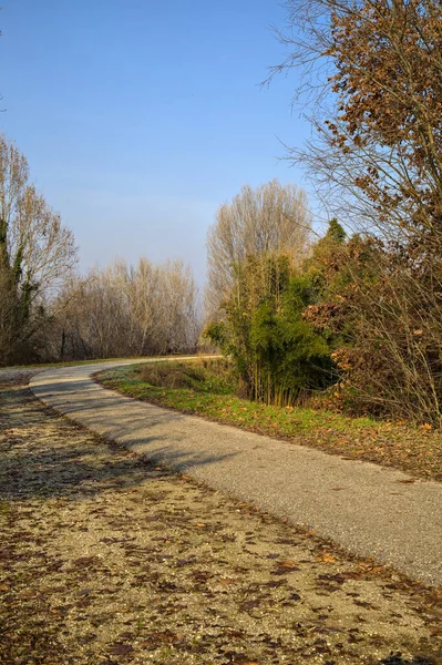 Camino Campo Junto Río — Foto de Stock