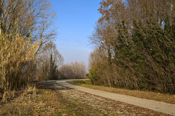 Дорога Сільській Місцевості Біля Річки — стокове фото