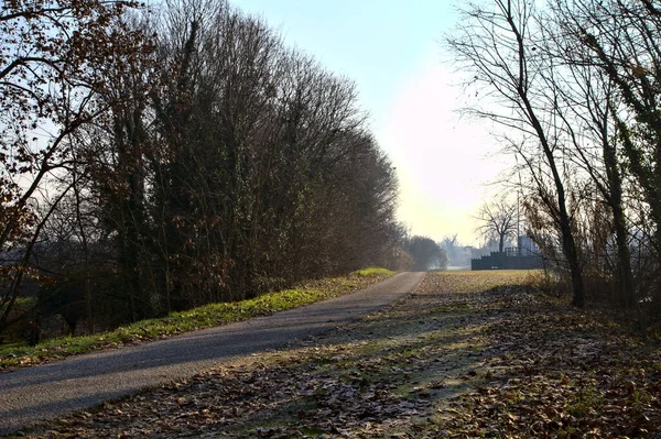 Vägen Landsbygden Vintern — Stockfoto