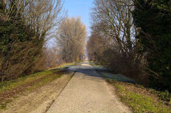 Road Countryside Next River — Stock Photo, Image