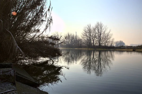 River bordered by bare trees with their reflections casted in the water in the italian countryside