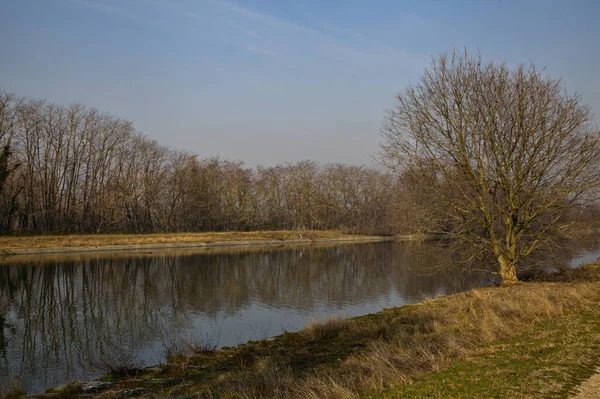 River Bordered Bare Trees Reflections Casted Water Italian Countryside — Stock Photo, Image