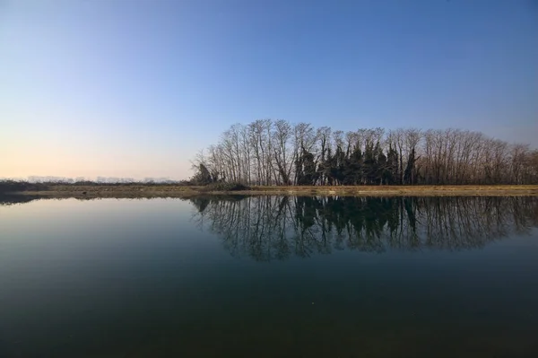 Fluss Umgeben Von Kahlen Bäumen Mit Ihren Spiegelungen Die Sich — Stockfoto