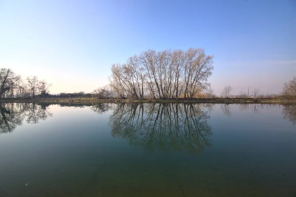 意大利乡村 一条被光秃秃的树木环绕的河 其倒影投在水里 — 图库照片