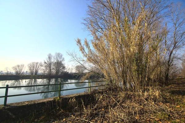冬季意大利农村的河流 — 图库照片