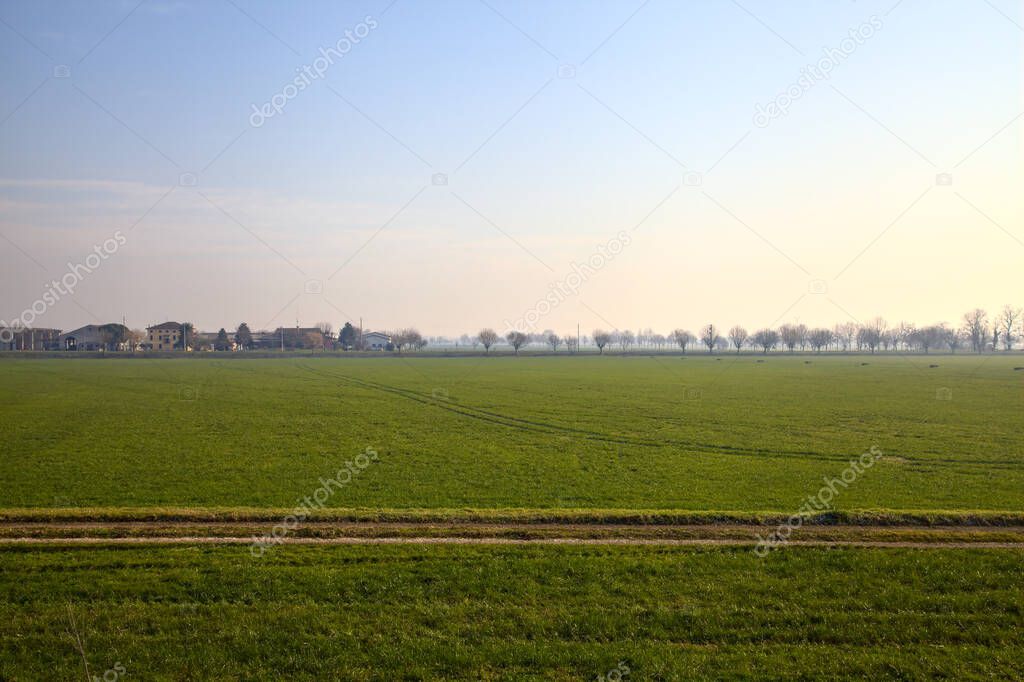 Field in the italian countryside in winter