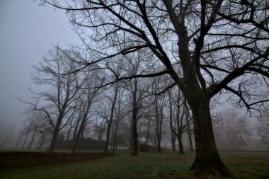 Sisli bir günde İtalya 'da bir parkta açık alan