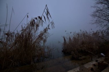 Kışın sisli bir günde parkta bir nehrin kıyısında